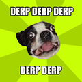 Derpstra's Avatar